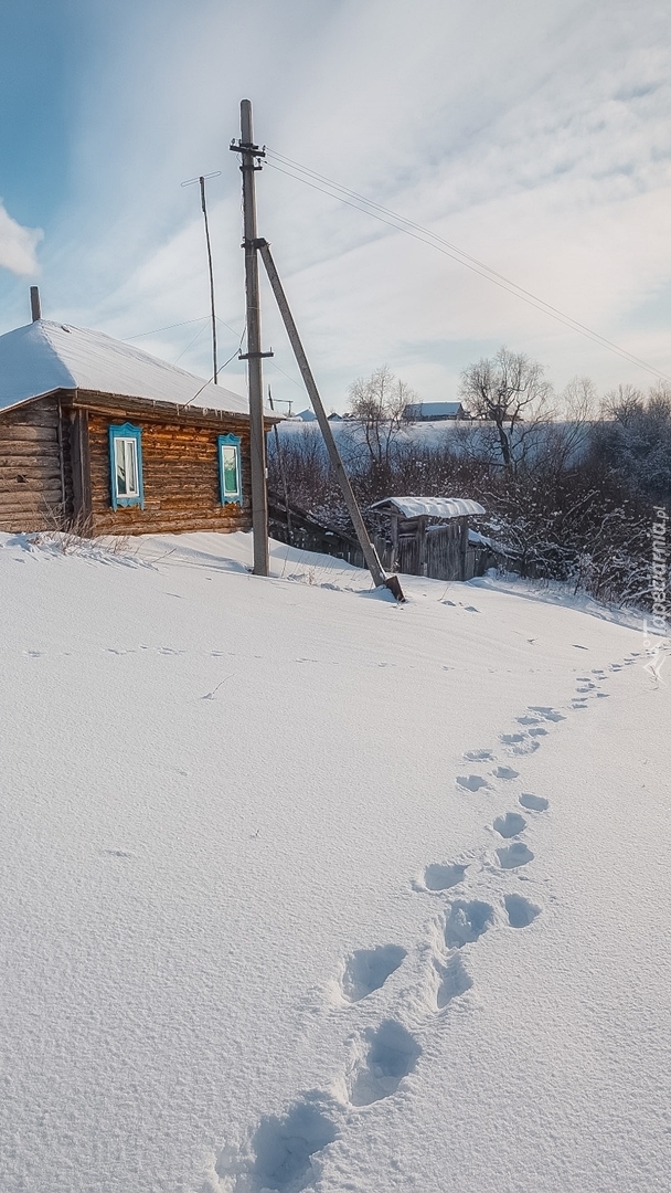 Ślady w śniegu obok drewnianego domu