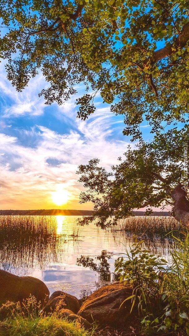 Słońce nad jeziorem