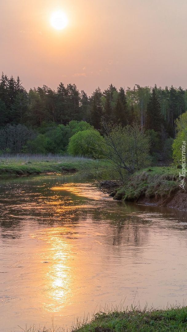 Słońce zachodzące nad lasem i rzeką