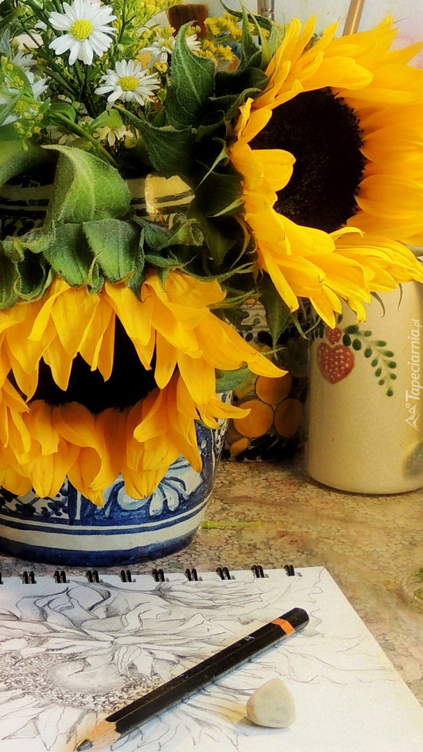 Słoneczniki w wazonie i naszkicowany rysunek