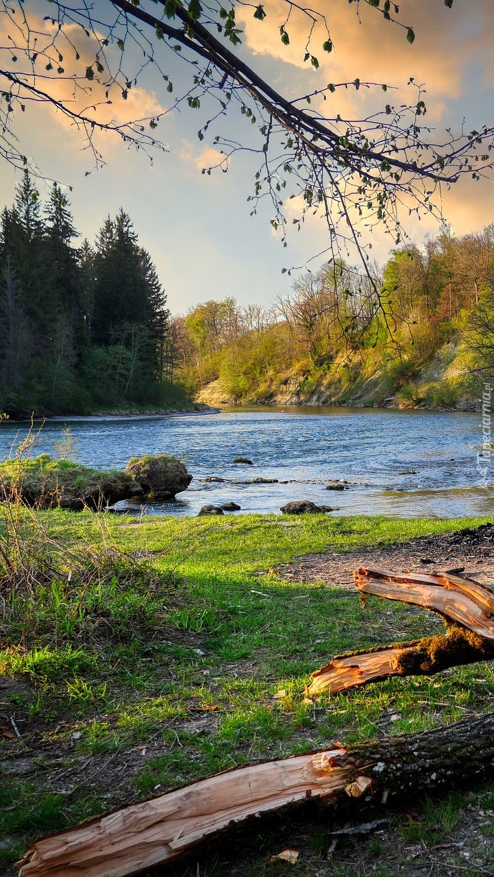 Słoneczny dzień nad rzeką