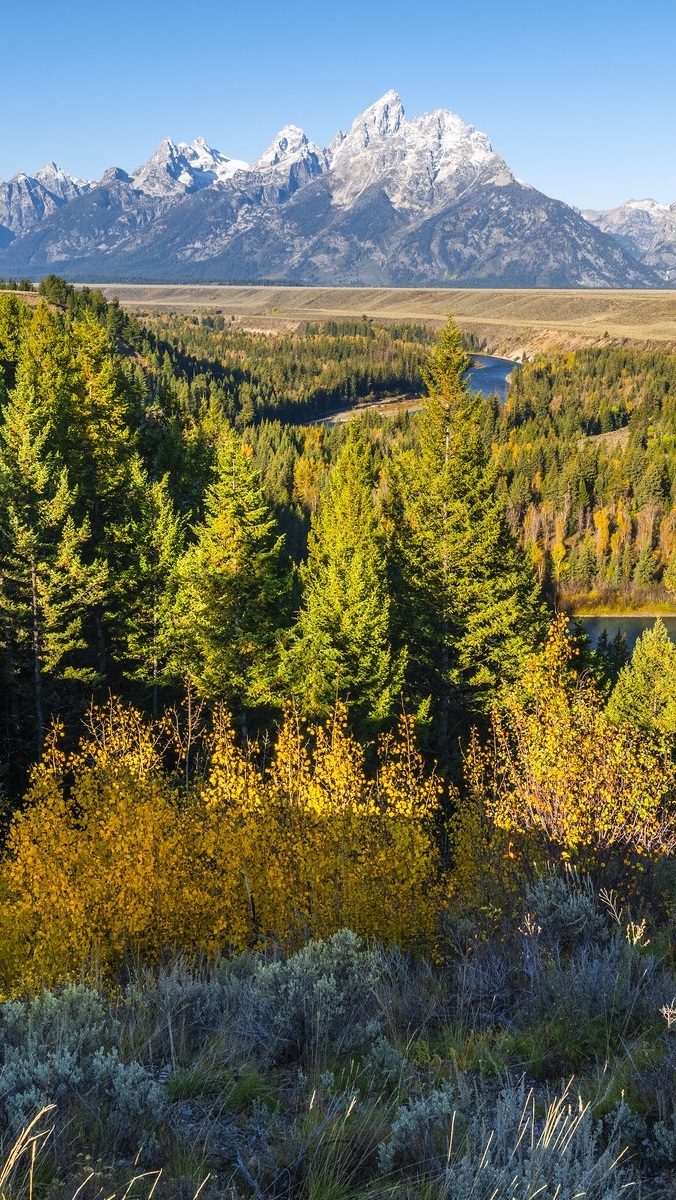 Słoneczny dzień w Parku Narodowym Grand Teton