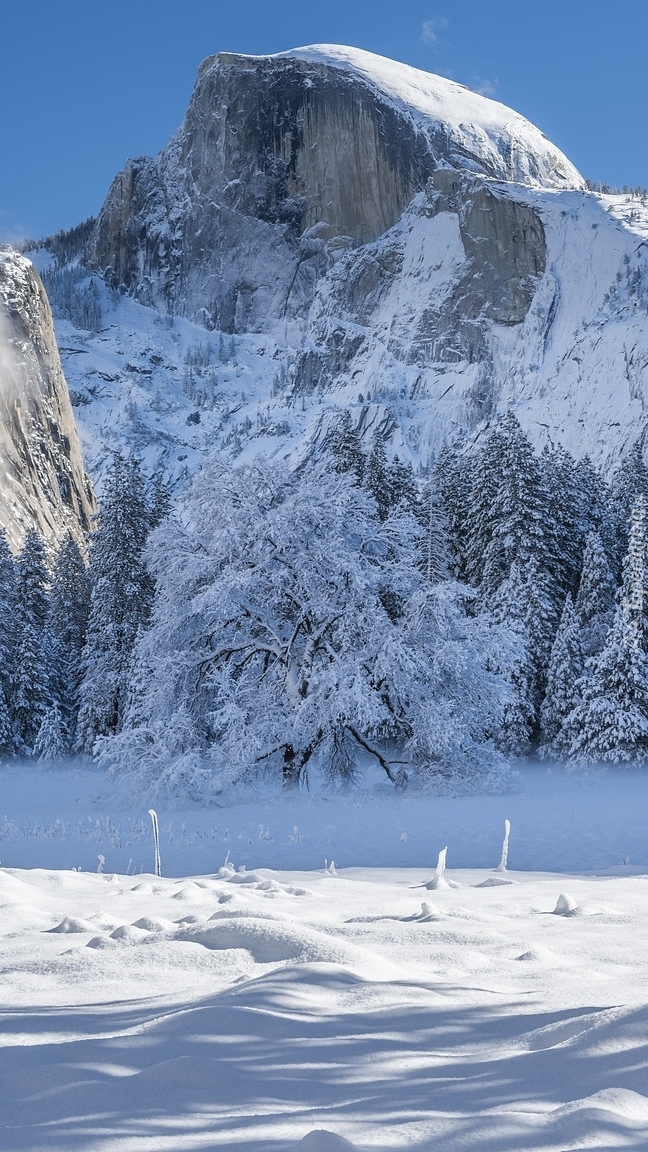 Słoneczny dzień w zimowym Parku Narodowym Yosemite