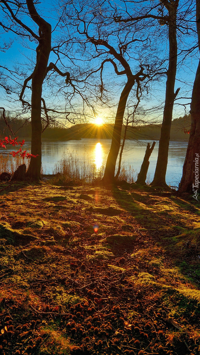 Słoneczny poranek nad jeziorem