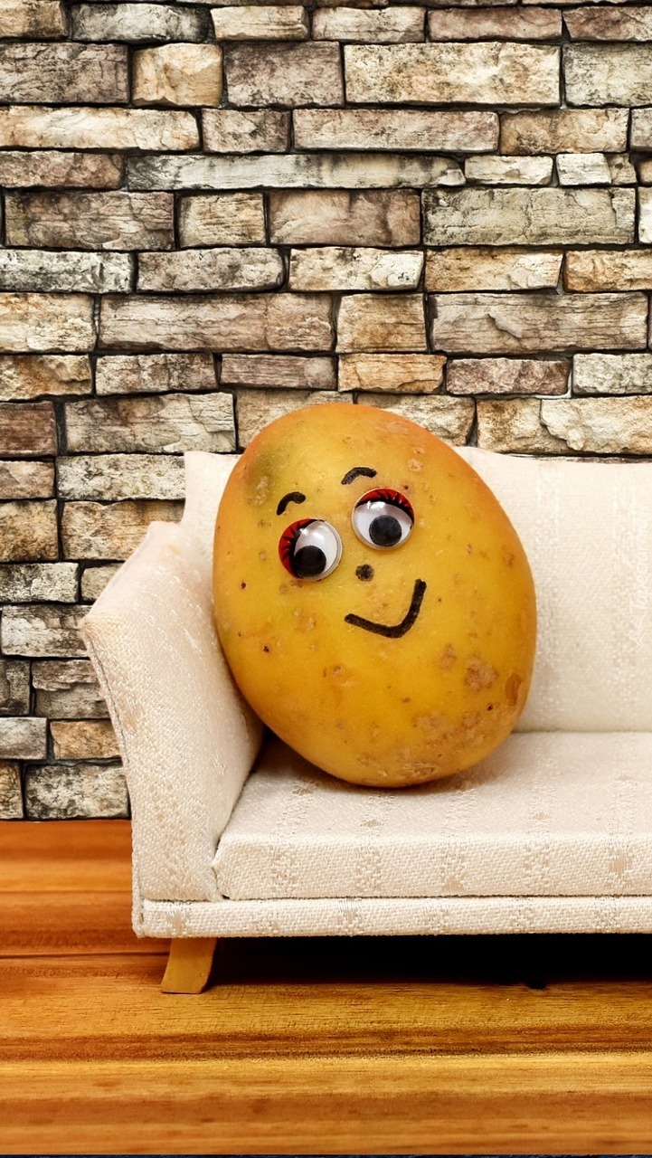Śmieszny ziemniak na kanapie