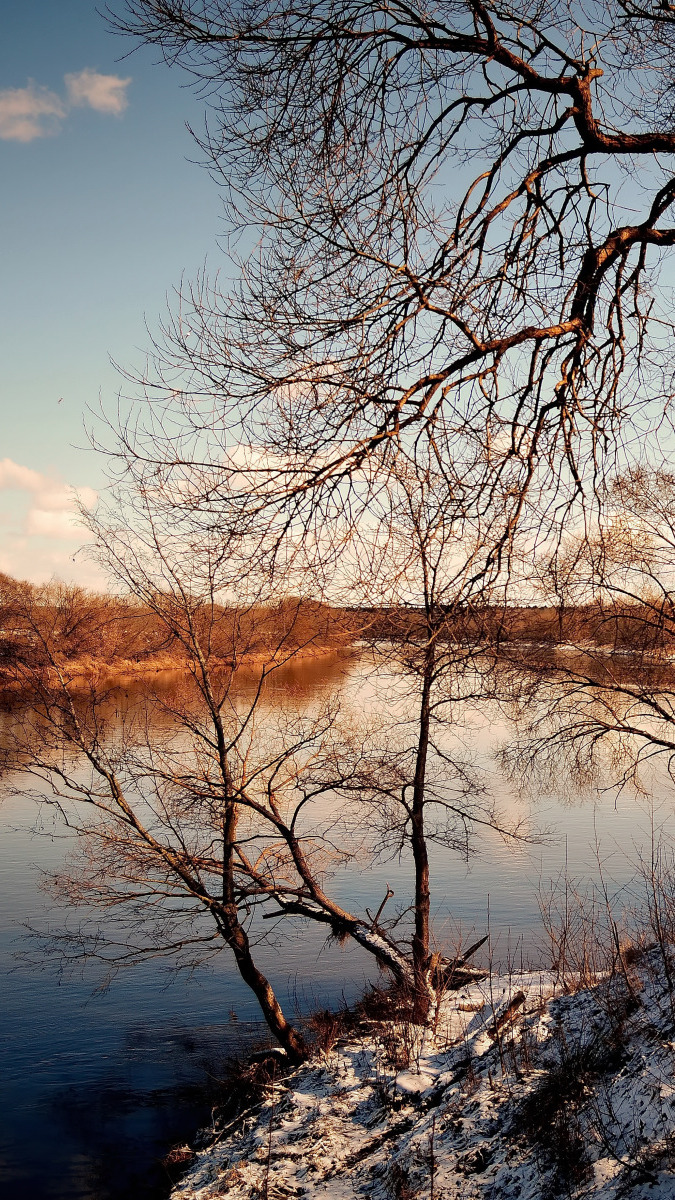 Śnieg i bezlisne drzewa nad rzeką