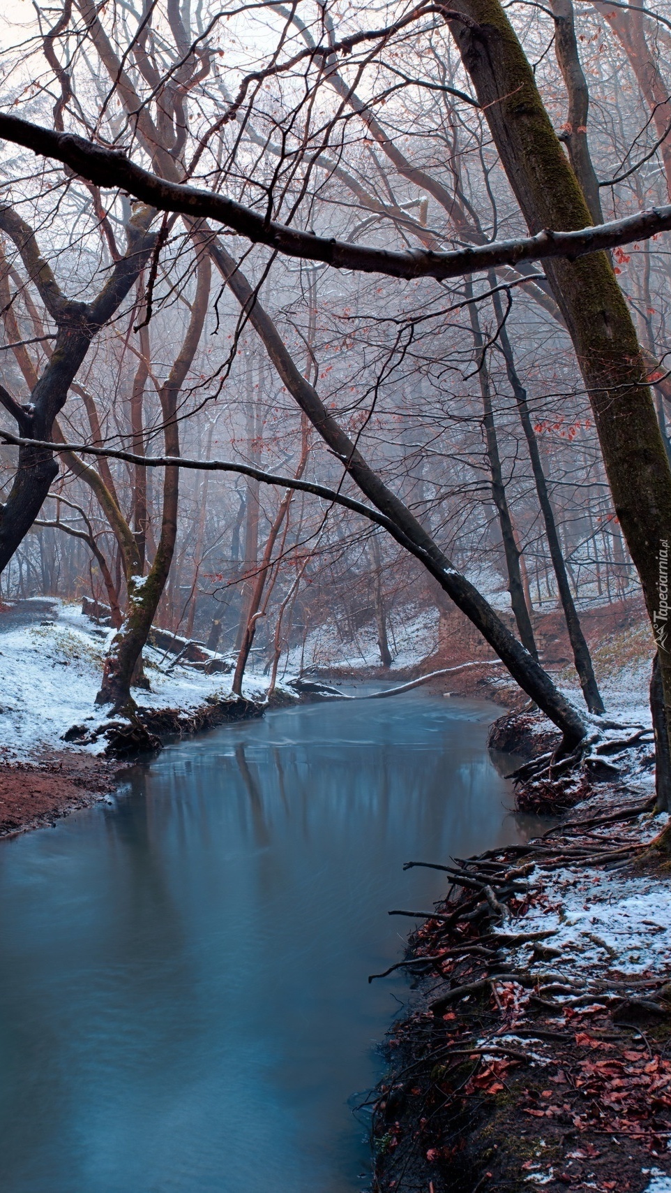 Śnieg na brzegach rzeki