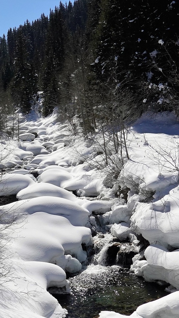 Śnieg na kamieniach w leśnym strumieniu