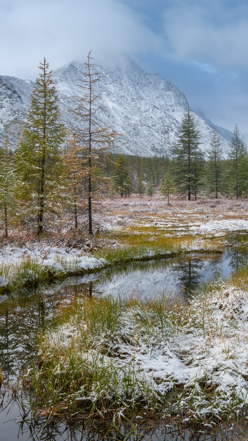 Śnieg na trawie w Górach Kołymskich