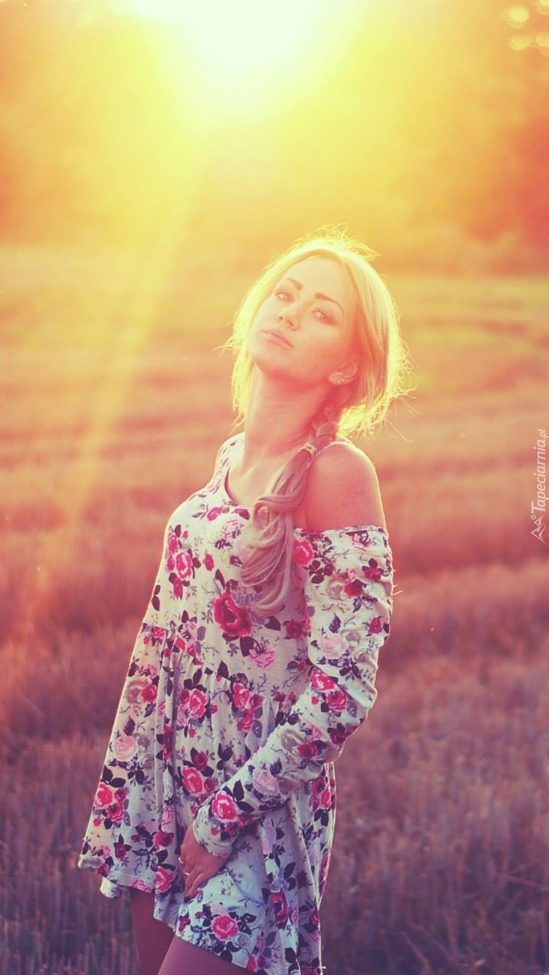 Spacer blondynki po lawendowym polu w świetle słońca