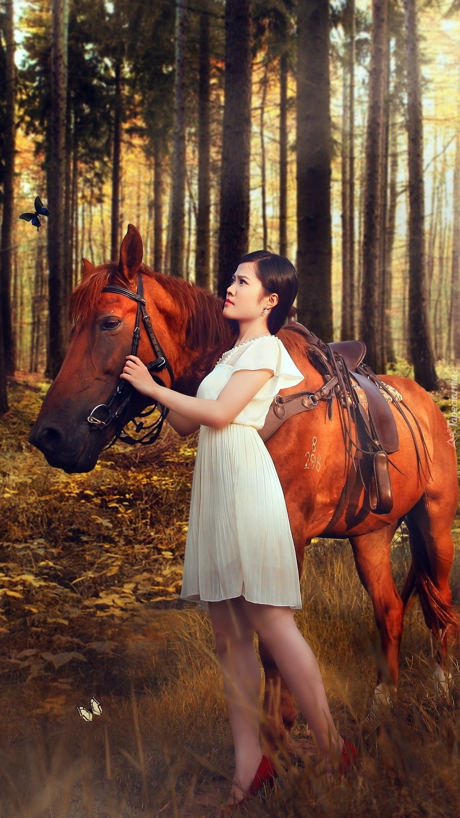 Spacer kobiety z koniem po lesie