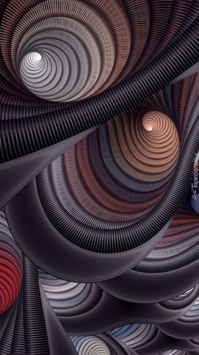 Spiralne muszelki