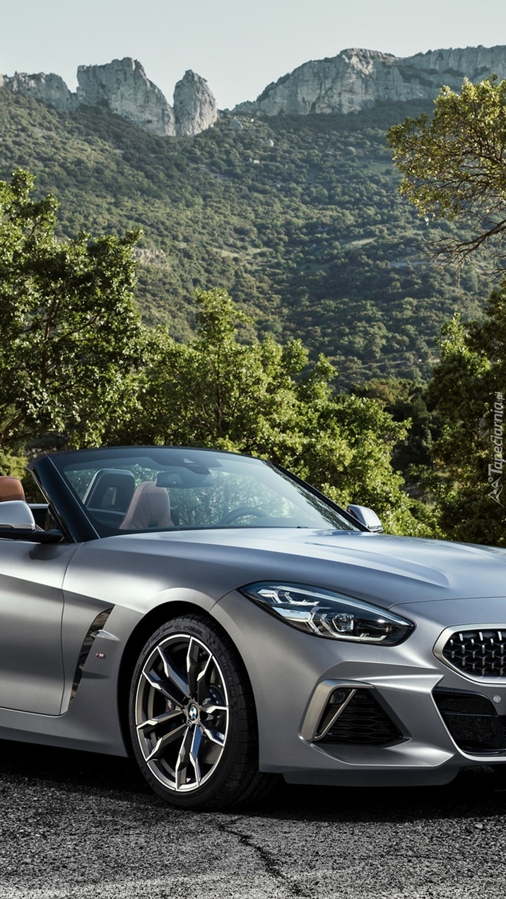 Srebrne BMW Z4 Roadster