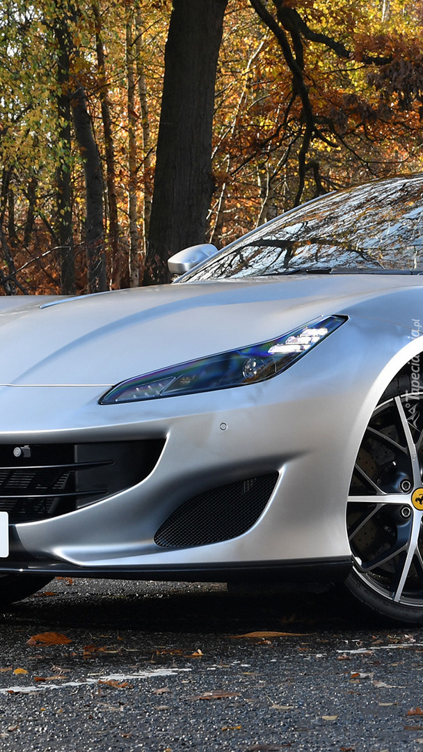 Srebrne Ferrari Portofino