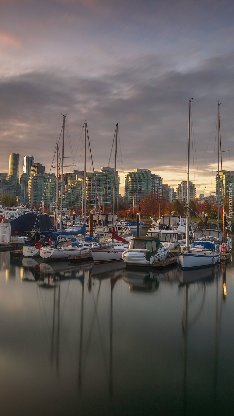 Stanley Park Marina w Vancouver