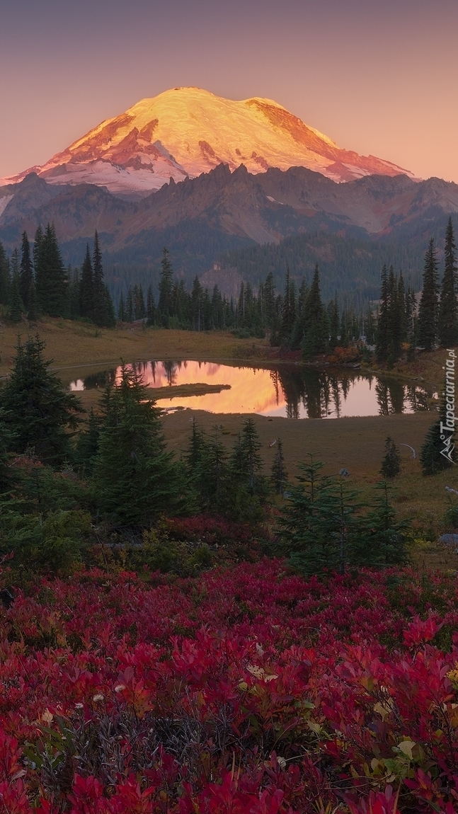 Startowulkan Mount Rainier