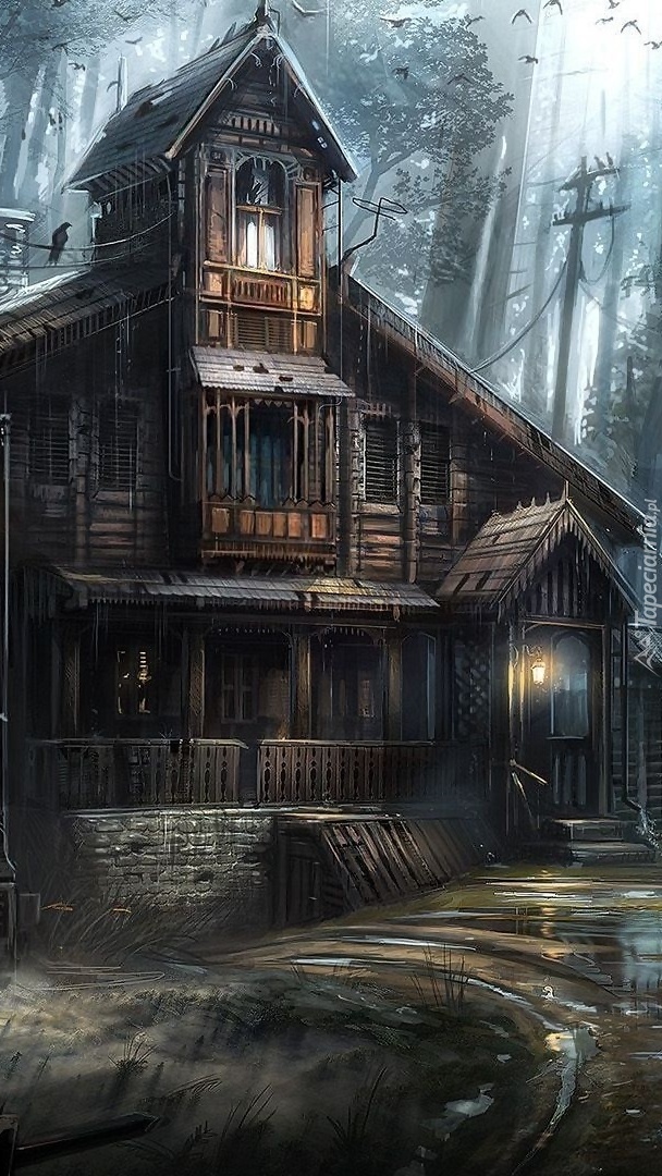 Stary drewniany dom w lesie