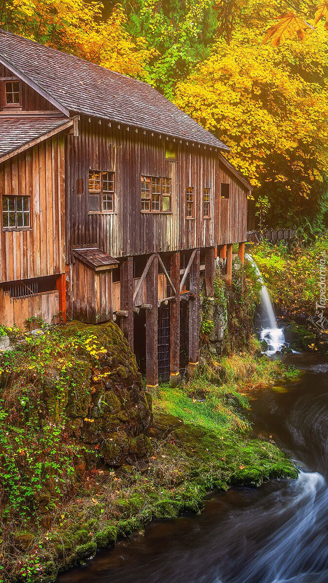 Stary młyn Crystal Mill nad rzeką Crystal River