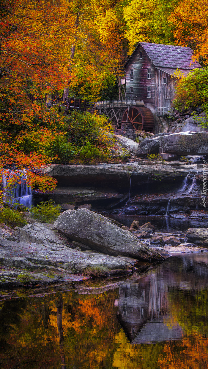 Stary młyn nad wodospadem wśród jesiennych drzew