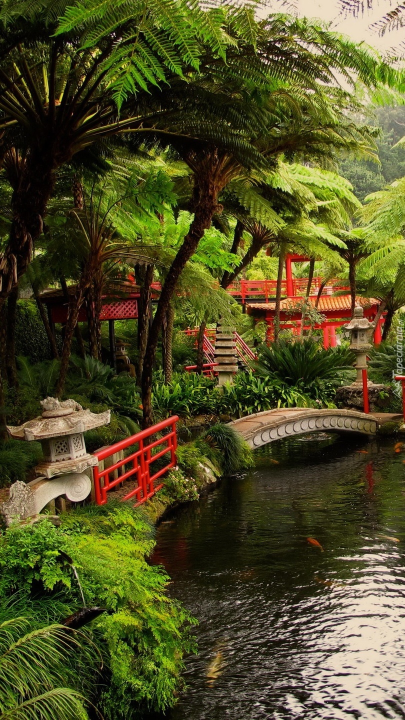 Staw i mostek w ogrodzie japońskim