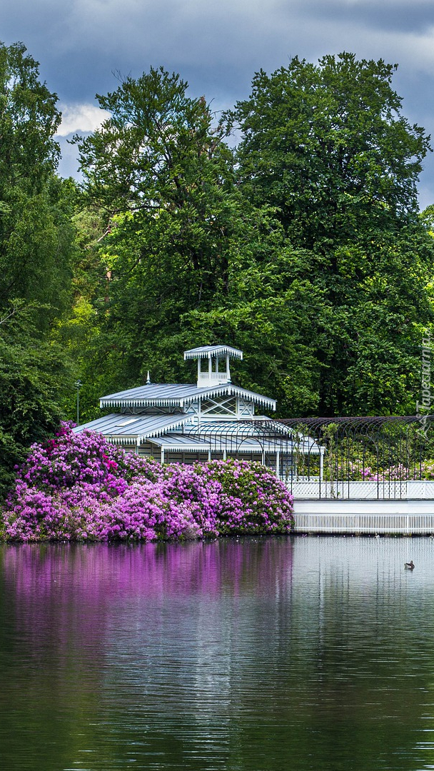 Staw w holenderskim parku Paleispark Het Loo