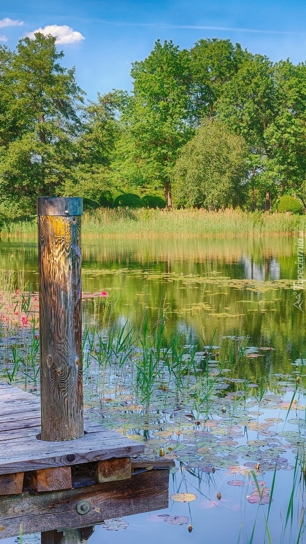 Staw w Parku Britzer Garten