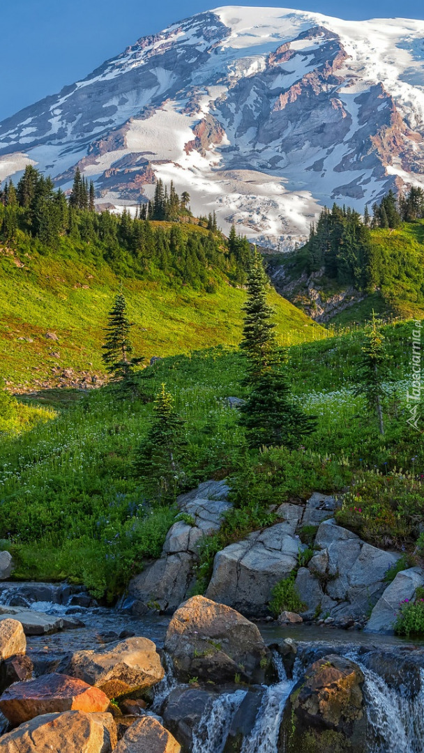 Stratowulkan Mount Rainer