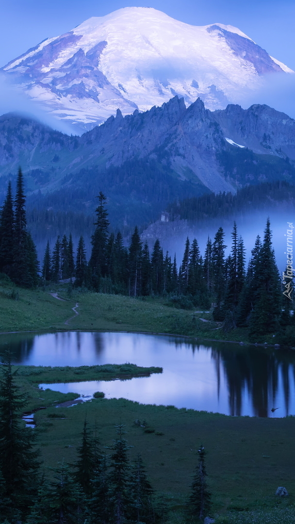 Stratowulkan Mount Rainier