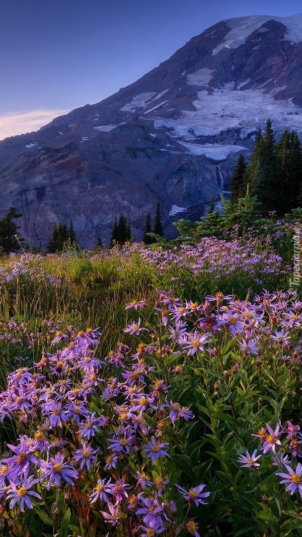 Stratowulkan Mount Rainier