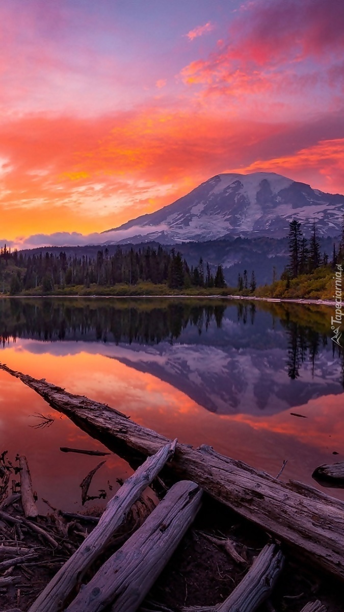 Stratowulkan Mount Rainier