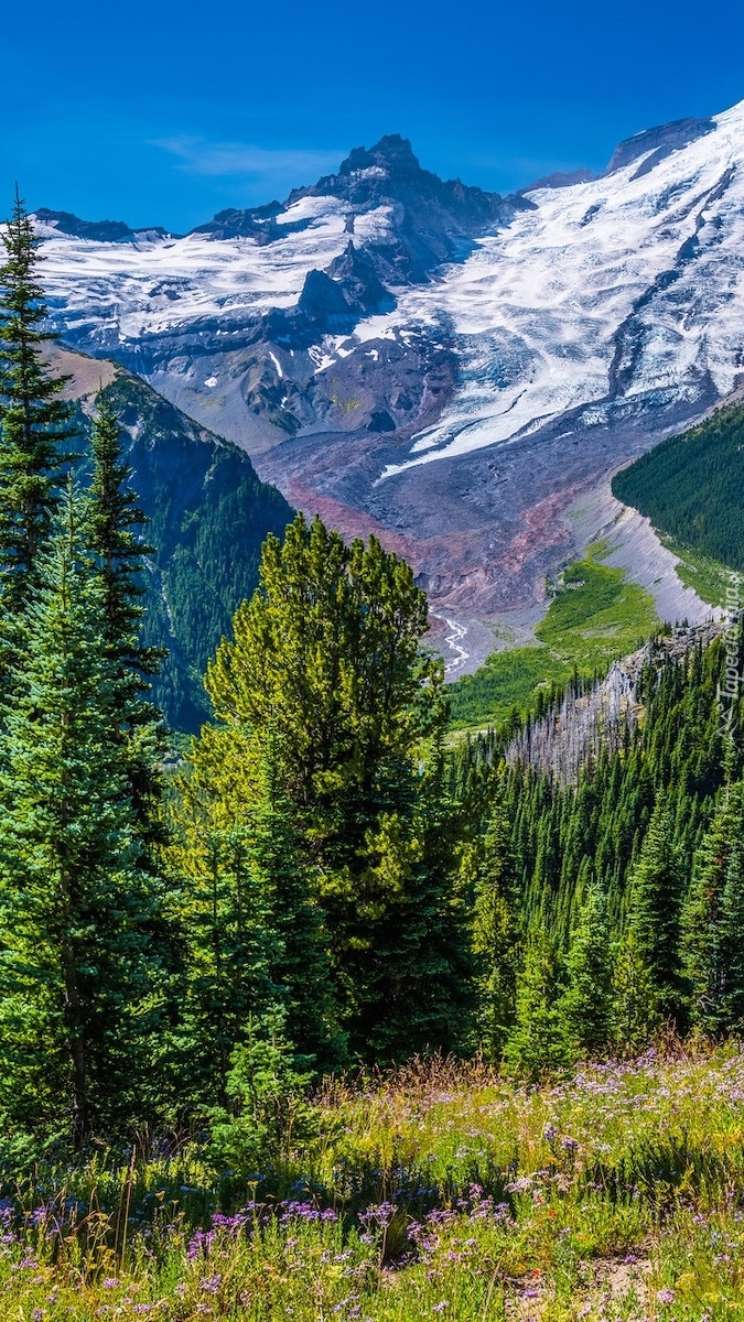 Stratowulkan Mount Rainier