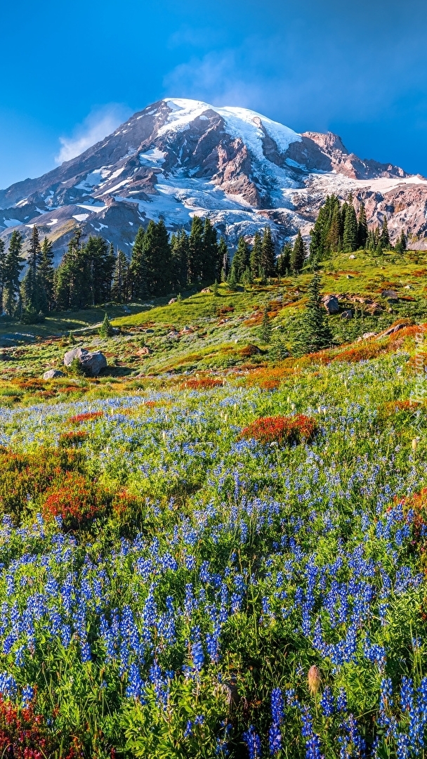 Stratowulkan Mount Rainier