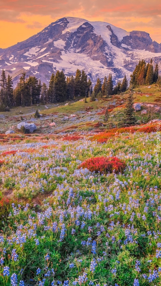 Stratowulkan Mount Rainier