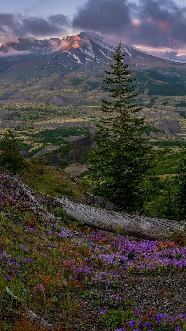 Stratowulkan Mount Saint Helens w stanie Waszyngton