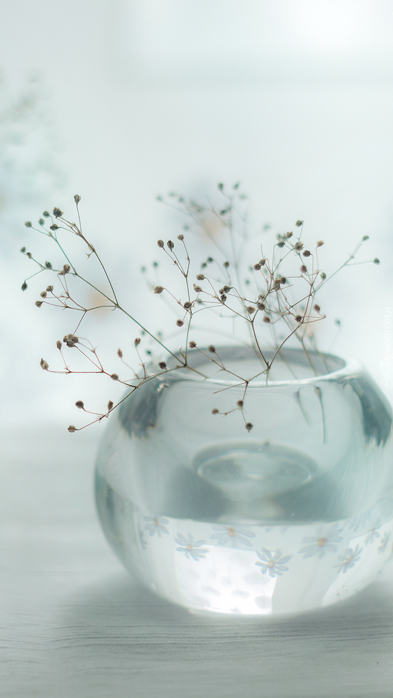 Sucha roślinka w szklanym wazoniku