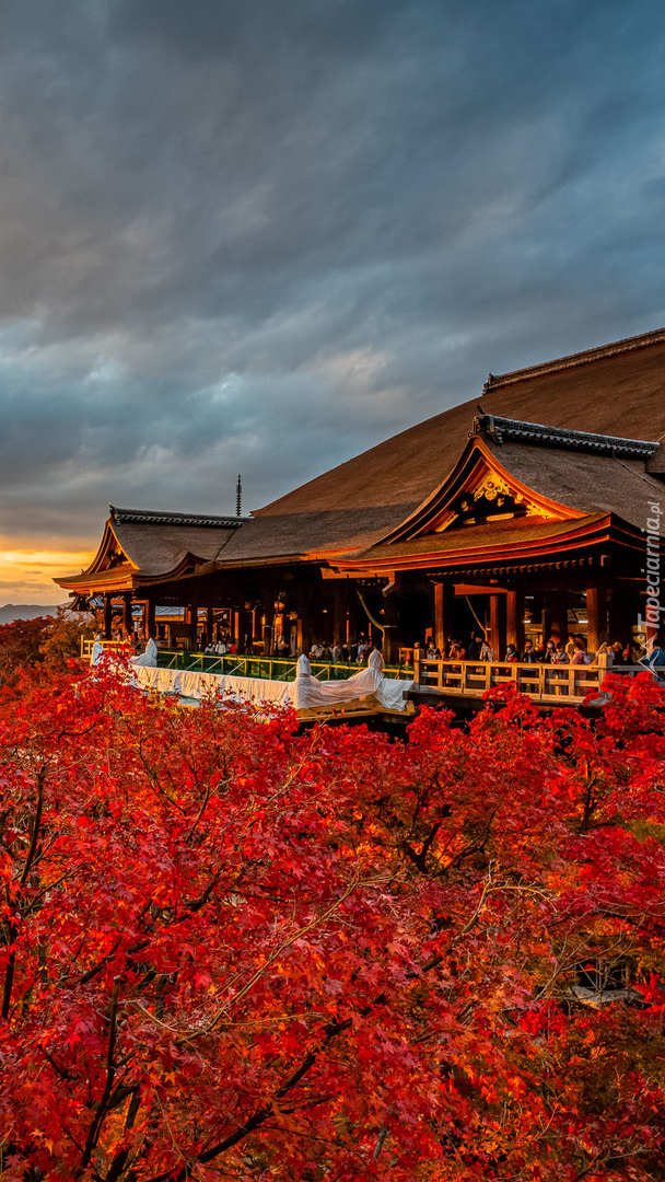 Świątynia Kiyomizu-dera w Kioto
