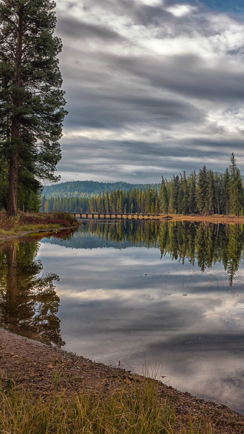 Świerki nad jeziorem