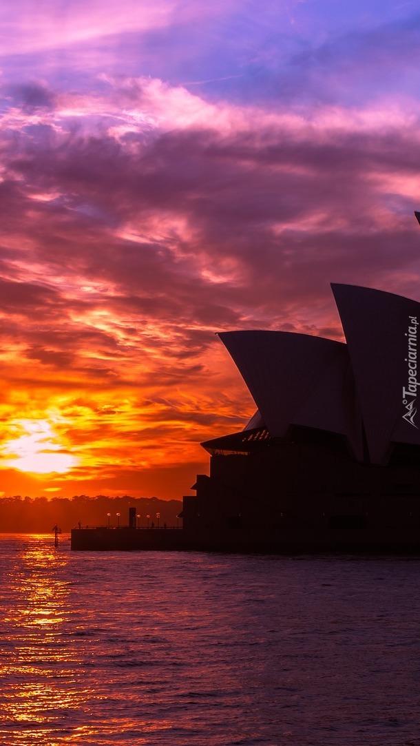 Sydney Opera House o wschodzie słońca