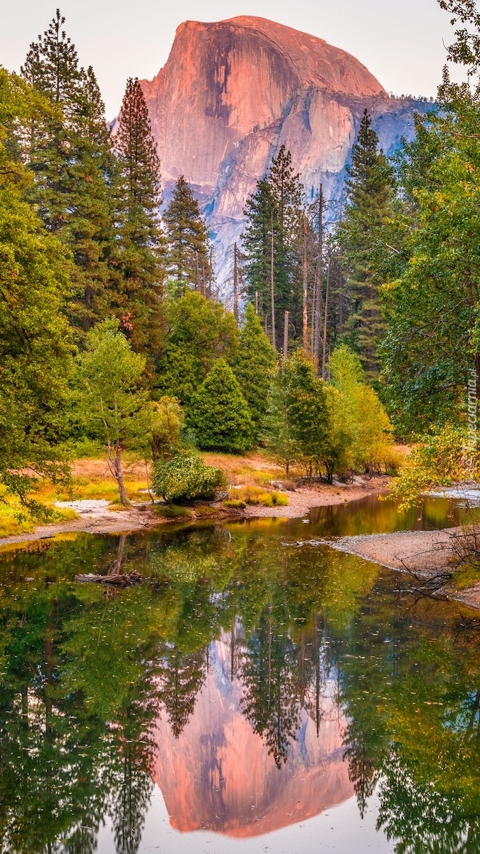 Szczyt Half Dome i drzewa nad rzeką