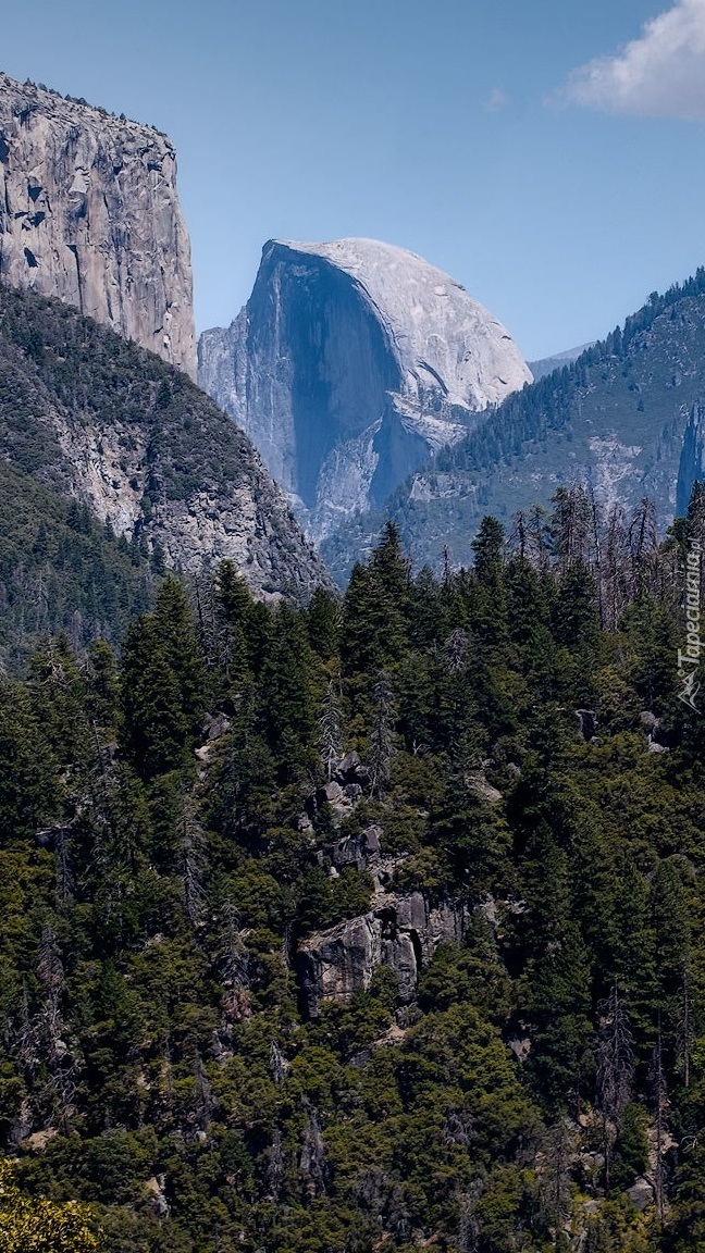 Szczyt Half Dome w górach Sierra Nevada