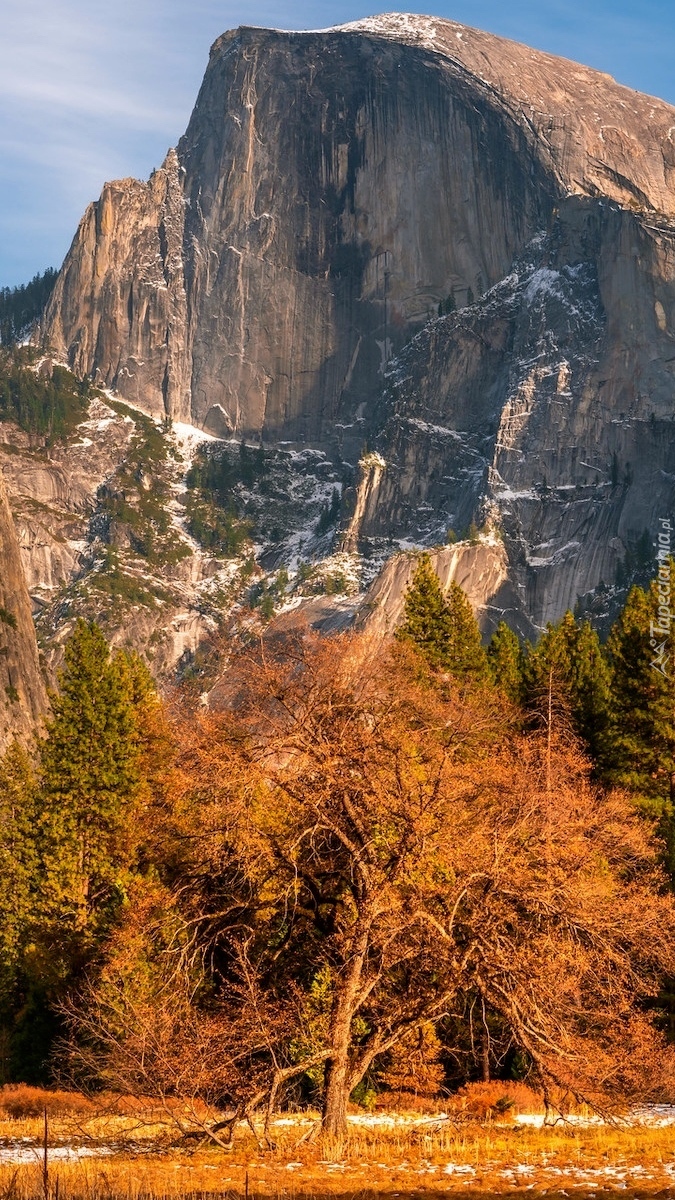 Szczyt Half Dome