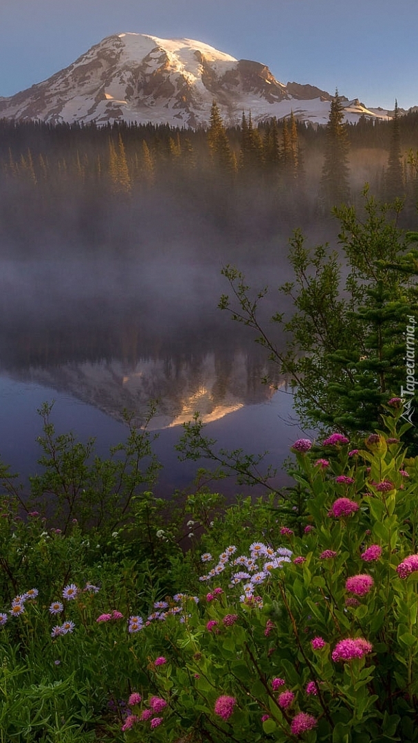 Szczyt Mount Rainier nad jeziorem Reflection Lake