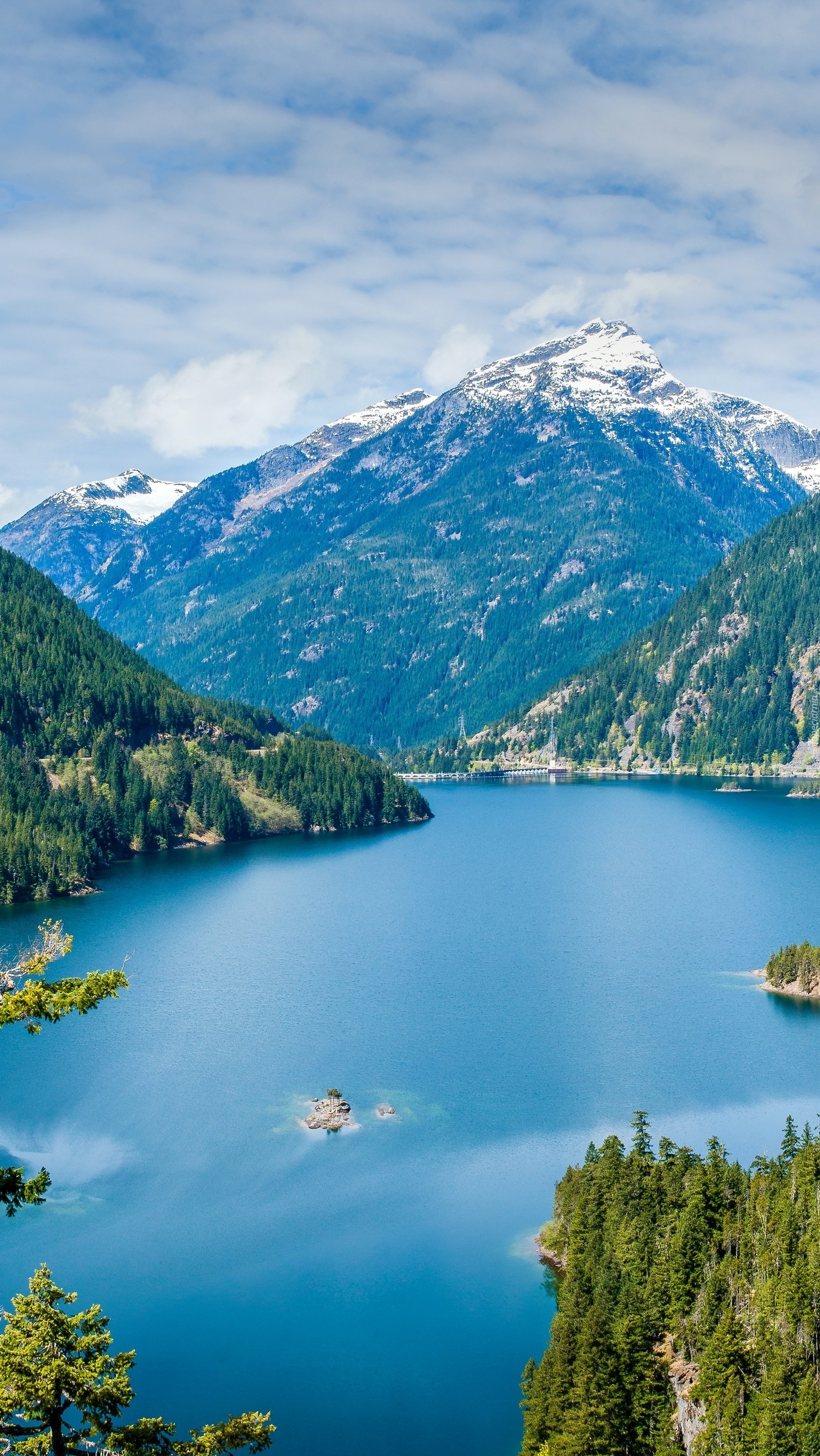 Szmaragdowe jezioro w otoczeniu gór i lasów