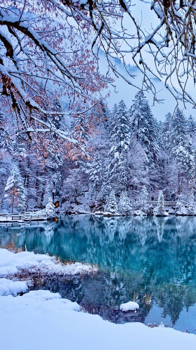 Szwajcarskie jezioro Blausee zimą