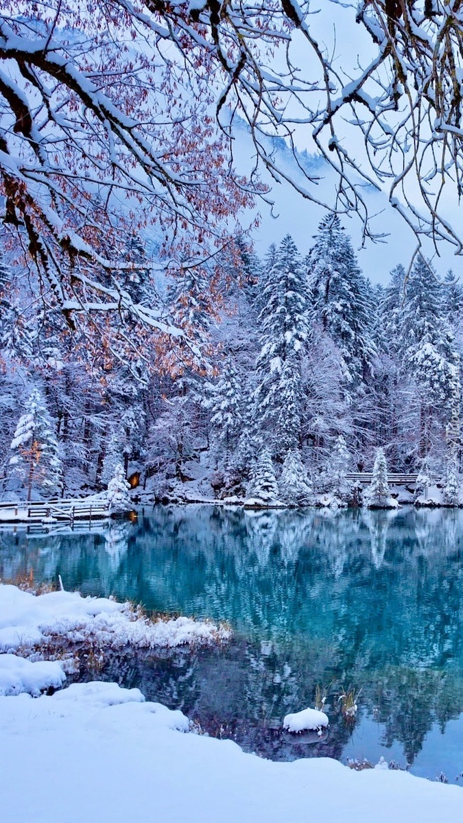 Szwajcarskie jezioro Blausee zimą