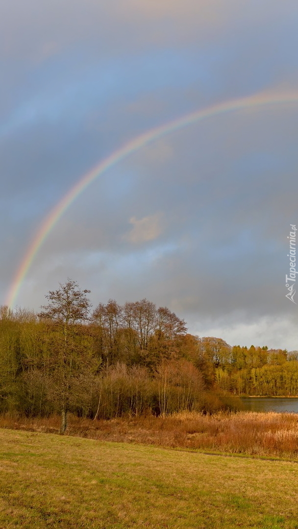 Tęcza nad jesiennymi drzewami