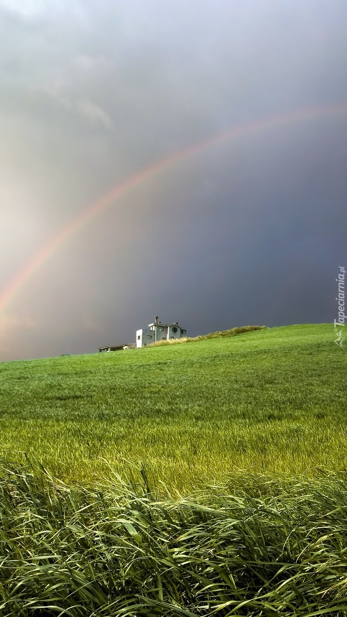 Tęcza nad łąką