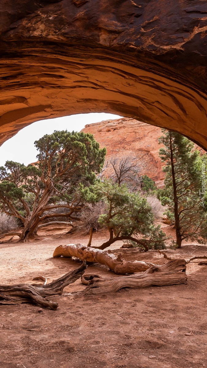 Teren spacerowy Navajo Arch