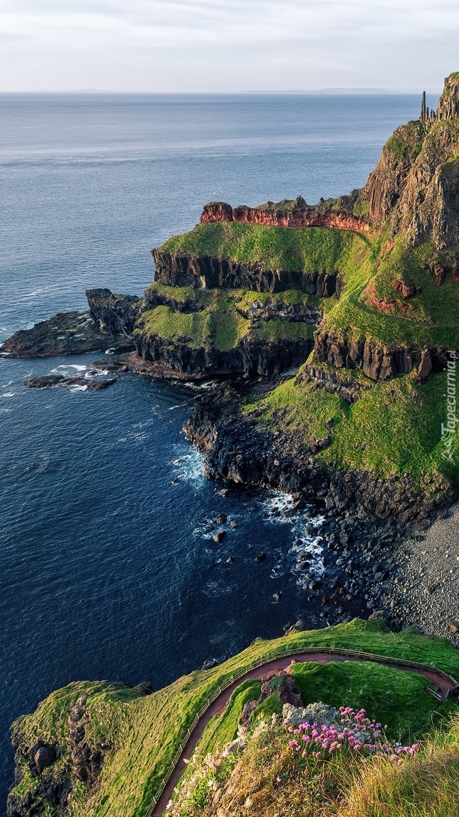 The Giants Causeway Cliffs w Irlandii Północnej