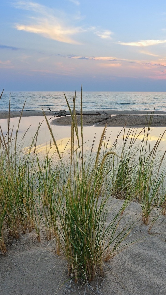 Trawy na wydmach nad jeziorem Lake Michigan